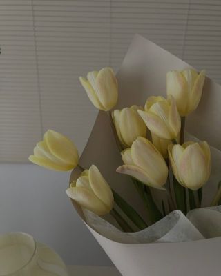 Medzinárodný deň žien 🌸 Dnes oslavujeme silu, odvahu a krásu všetkých žien! Pri tejto príležitosti sme pripravili...